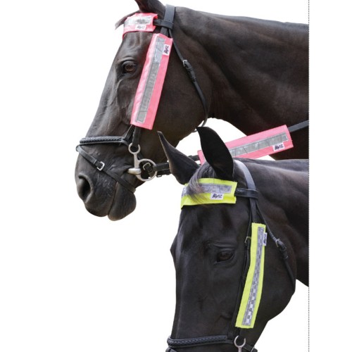Hyviz Bridle Set