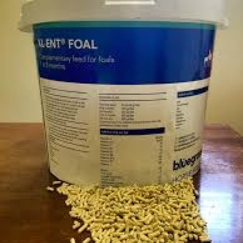 Bluegrass Xl-ent Foal Milk Replacer Pellets Bluegrass Xl-ent Foal Milk Replacer Pellets