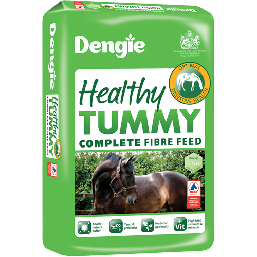 Dengie Healthy Tummy