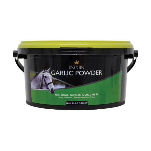 Lincoln Garlic Powder 2KG