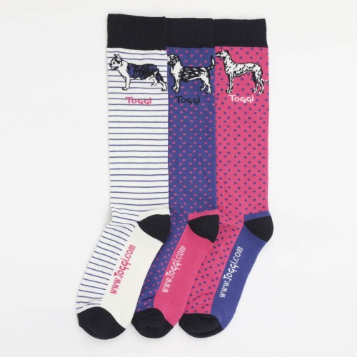 Toggi Turvey Ladies Socks 3 Pack Dog Design Royal Blue