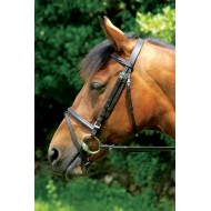Classic Bridle & Reins Classic Bridle & Reins