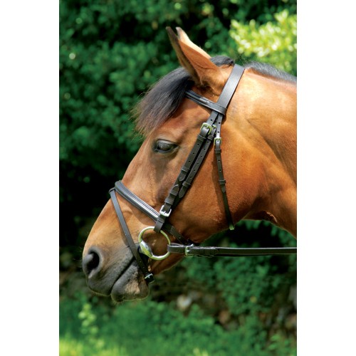 Classic Bridle & Reins