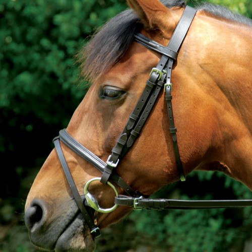 Classic Bridle & Reins