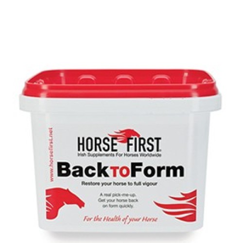 Horse First Back to Form 